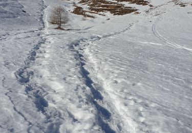 Percorso Racchette da neve Monginevro - Montgenevre Raquettes - Photo