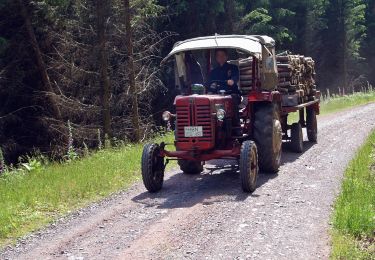 Percorso A piedi Schleusegrund - Rundwanderweg Talsperre Schönbrunn - Photo