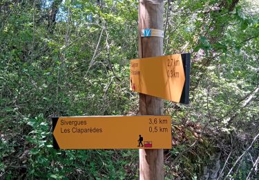 Trail Walking Buoux - Buoux /Saignon - Photo