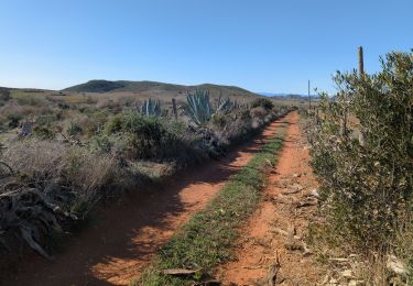 Trail Walking Níjar - Los Albaricoques 1 - Photo