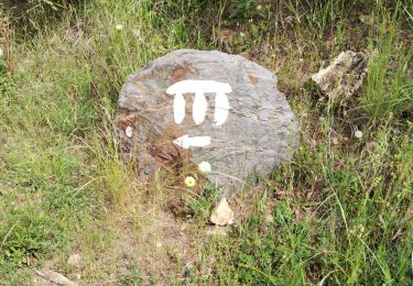 Randonnée Marche La Londe-les-Maures - Dolmen de Gaoutabry - Photo