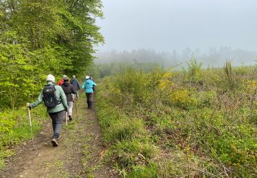 Trail Walking Rochefort - Belvaux - Photo