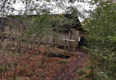 Trail Walking Saint-Hubert - FOURNEAU ST-MiCHEL ... observatoire de Bilaude. - Photo