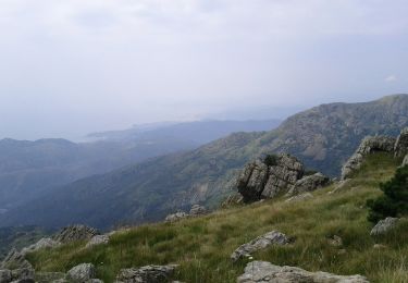 Percorso A piedi Cogoleto - Lerca - Bric Camulà - Monte Rama - Photo