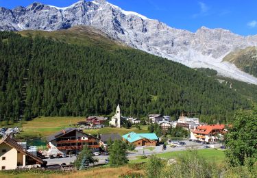 Percorso A piedi Stelvio - IT-25 - Photo