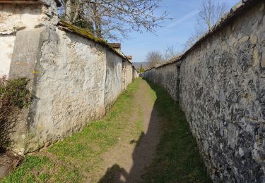 Excursión Senderismo Fontainebleau - On fait le mur ? - Photo