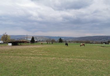 Tocht Elektrische fiets Esneux - VTT Corona 1 - Photo