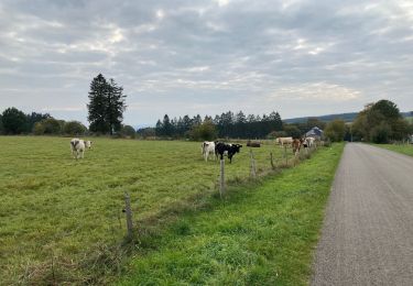 Tocht Stappen La Roche-en-Ardenne - Ramee  - Photo