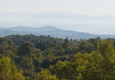 Tocht Stappen Beaumont-de-Pertuis - Beaumont de  Pertuis - La Bastide des Jourdans - Photo