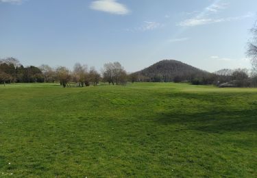 Tocht Stappen Herstal - randonnée terril Liège  - Photo