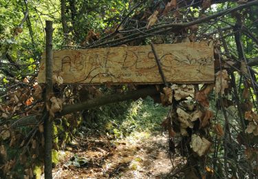 Tour Wandern La Chapelle-du-Mont-du-Chat - Le mont de la Charvaz - Photo