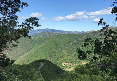 Tocht Stappen Saint-Martial - St Marial le Liron - Photo