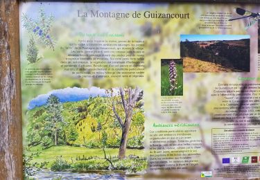 Trail Walking Bergicourt - bergicourt - Photo
