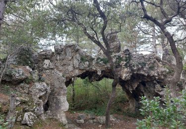 Tocht Stappen Donzère - Donzère-Falaises-Navon Ruines de Belle Eau 15km - Photo