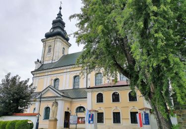 Excursión A pie Tuchów - Szlak spacerowy wokół Tuchowa - Photo