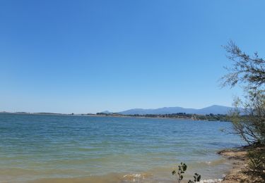 Tour Wandern Villeneuve-de-la-Raho - jour de repos your du lache Raho - Photo