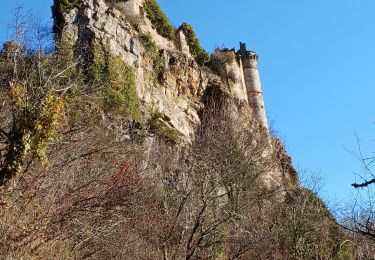Trail Walking Saint-André-de-Vézines - grotte pigeonnier de montmejean aller retour  - Photo