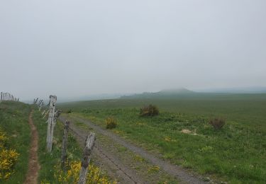 Tocht Stappen La Godivelle - la Godivelle -Brion A/R - Photo