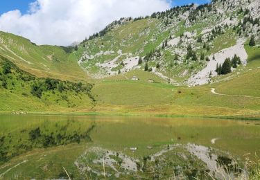 Excursión Senderismo La Chapelle-d'Abondance - la chapelle d'abondance  col de vernaz - Photo