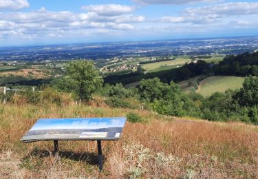 Tour Wandern Montmelas-Saint-Sorlin - montmelas - Photo