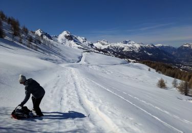 Randonnée Marche Enchastrayes - croix de l'alpe ou presque  - Photo