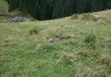 Tocht Mountainbike Gemeinde Gaschurn - kops - Photo