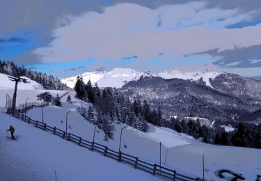 Tour Schneeschuhwandern Boutx - 03-01-2021 Mourtis tuc de l’étang  - Photo