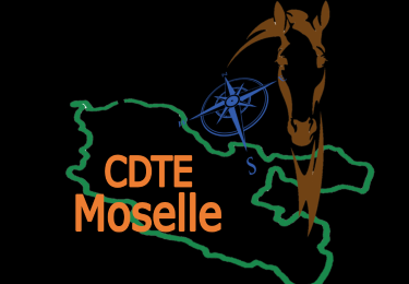 Trail Horseback riding Anzeling - SityTrail - Attelage EQUIMOSEL 2024 - Photo