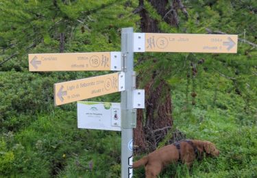 Tour Wandern La Thuile - laghi Di bellacomba - Photo