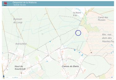 Tour Wandern Weismes - 20241014 - Waimes 7.5 Km - Photo