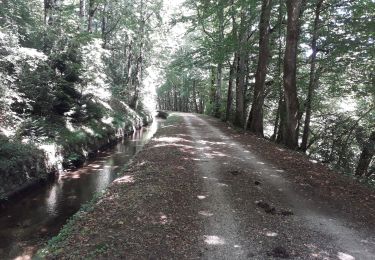 Tocht Stappen Verdun-en-Lauragais - Rando BDM-Cammazes-BDM - Photo