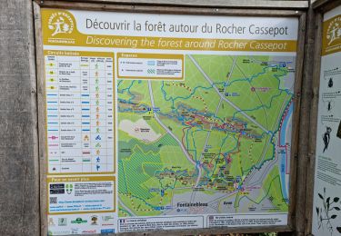 Trail Walking Fontainebleau - Fontainebleau Circuit Denecourt 2 réduit - Photo