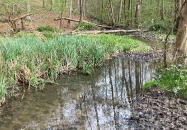 Tour Wandern Villers-la-Ville - Balade de Villers - Photo