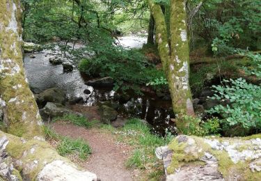Trail Walking Tarnac - Fred moulins et rochers  - Photo