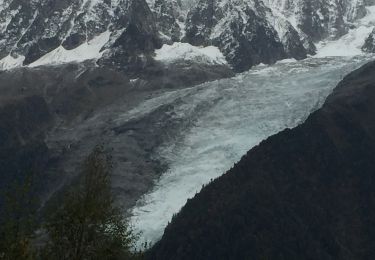 Tour Wandern Les Houches - Lac noir Les Houches - Photo