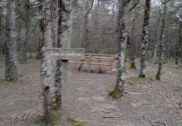 Trail Walking Sault - sault, saint trinit, aurel, sault - Photo