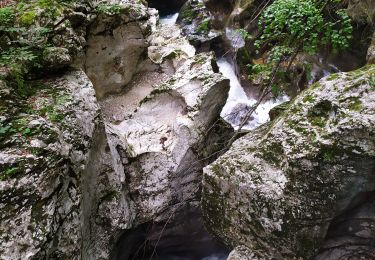 Tocht Stappen Bohinj - Gorges - Photo