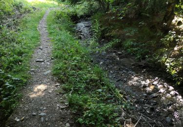 Excursión Marcha nórdica Arbaz - Bitailla  - Photo