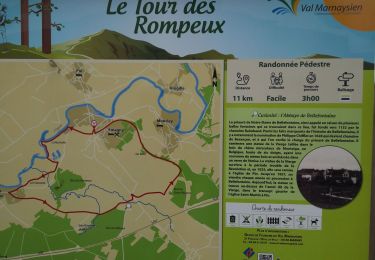 Trail Walking Émagny - Le tour des Rompeux - Photo