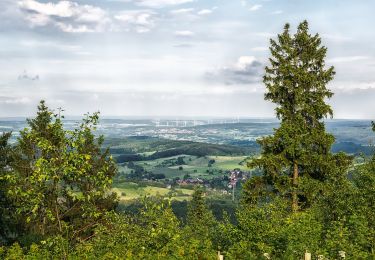 Trail On foot Horn-Bad Meinberg - Besinnungsweg (Kempen-Feldrom-Veldrom) - Photo