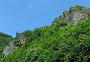 Percorso A piedi  - Sălard - Valea Sălard - Valea Șolea - Culmea Fâncel (Vf. Gropșan) - Photo