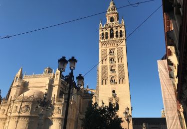 Excursión Senderismo Sevilla - 20181231 Séville  - Photo