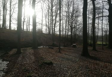 Trail Walking Jalhay - pont de Belheid - Photo