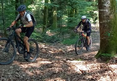 Trail Electric bike Badonviller - randonnée pierre percée 04062023 35km - Photo
