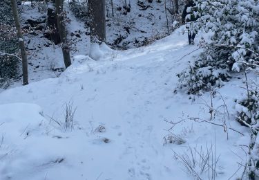 Percorso A piedi Jalhay - Lac de warfaaz Spa 13km - Photo