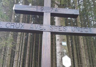 Trail Walking Waimes - Balade dans les Fagnes - Photo