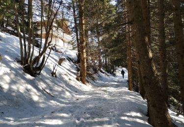 Tocht Noords wandelen Arbaz - bisse de Sion  - Photo