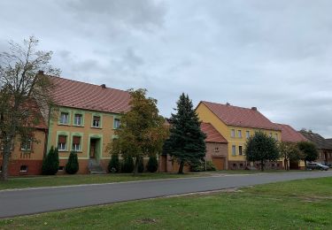 Tocht Te voet Treuenbrietzen - Tour04 Landschaftstour - Photo