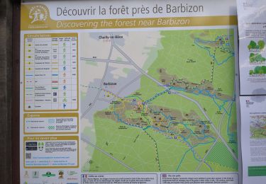 Tour Wandern Fontainebleau - bleue cav brigants - Photo