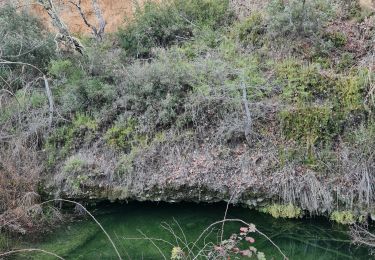 Excursión Senderismo La Bastidonne - la Bastidonne secrets - Photo